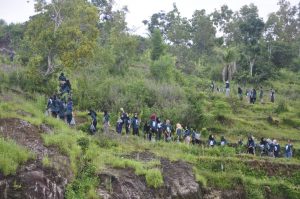 Tiga Dosen Fakultas Kehutanan UGM Dampingi Penanaman 3500 Bibit