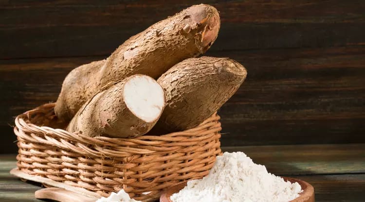 10 manfaat singkong bagi kesehatan