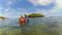 snorkeling sadranan