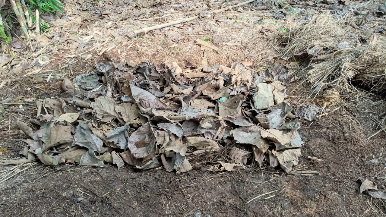Manfaat Pupuk Kompos yang Wajib Diketahui Para Petani