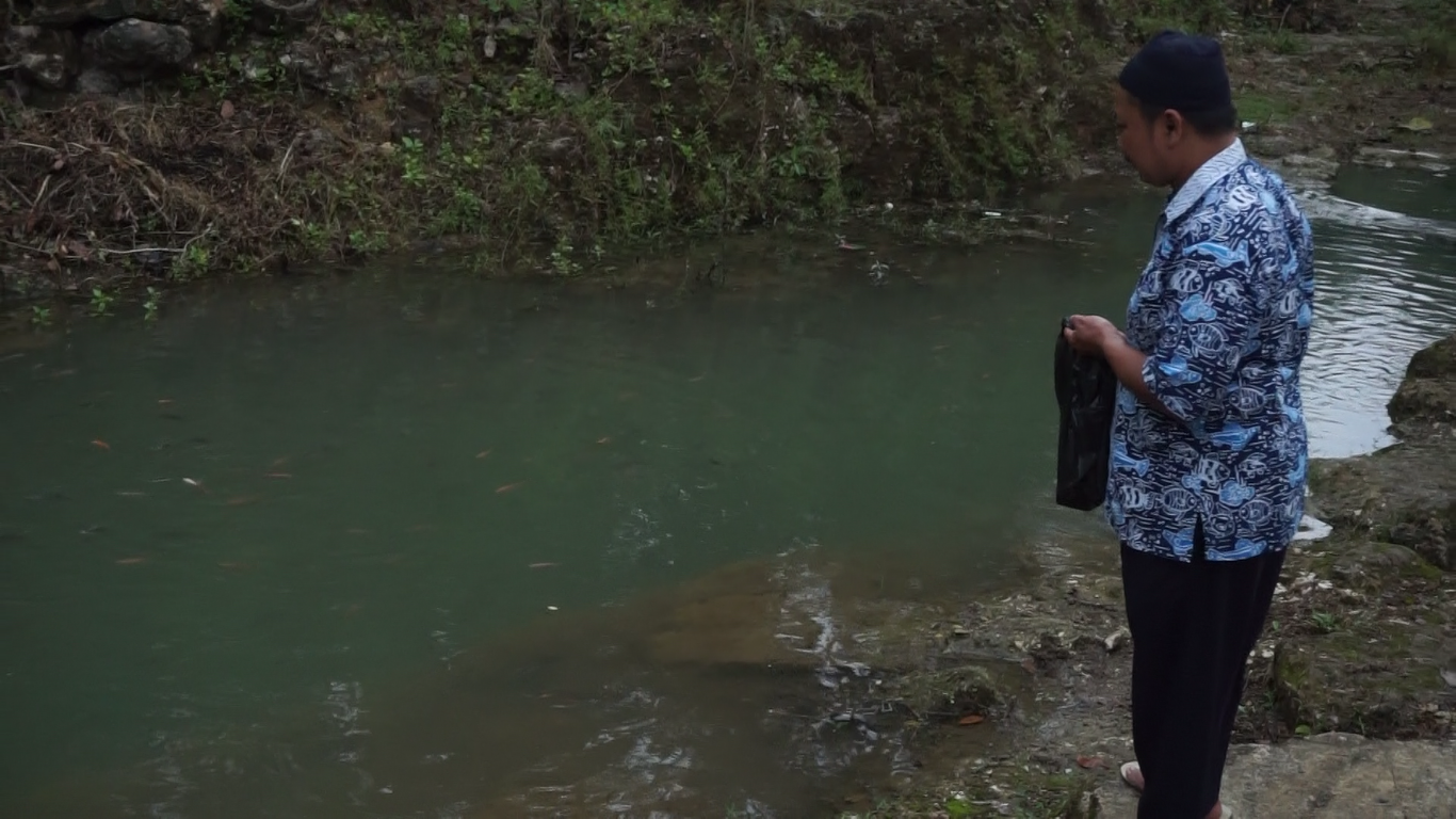 Budidaya Lele Tidak Amis, Sehat, dan Cepat Besar dari Gunungkidul