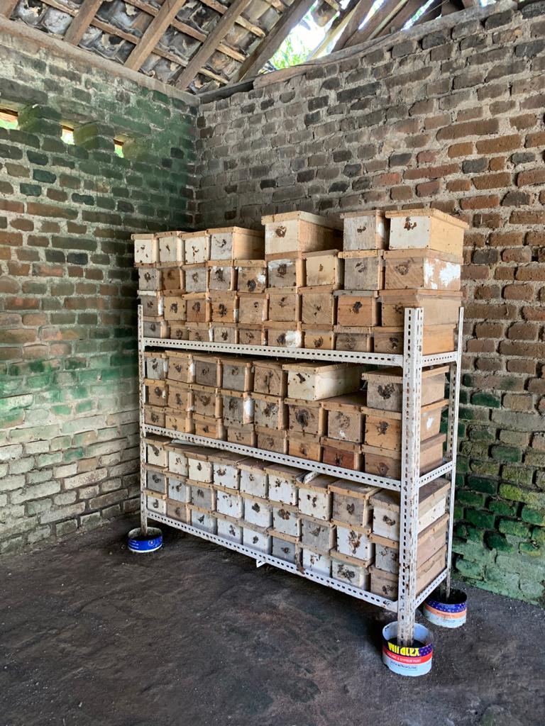 Agrowisata Lebah Klanceng