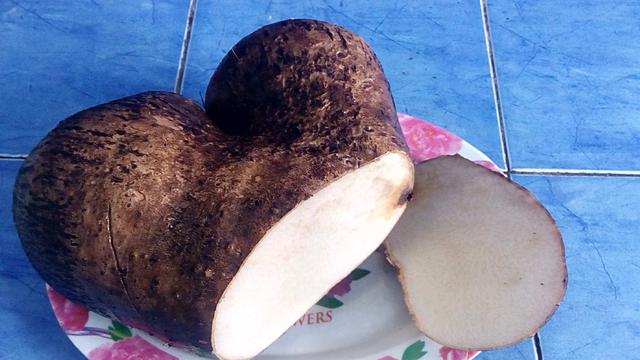 Produk Pangan Fungsional