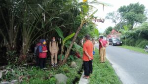 Pengubinan Salak