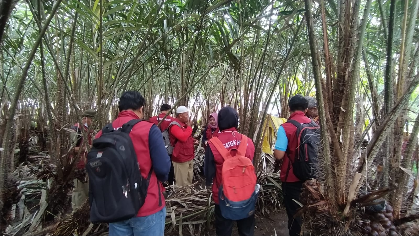 Pengubinan Salak