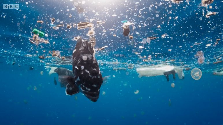 Mikroplastik cemari laut