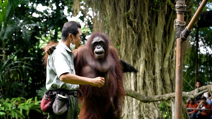 Gembia Loka Zoo, Wisata yang Pas Bersama Keluarga (gembiralokazoo.com)