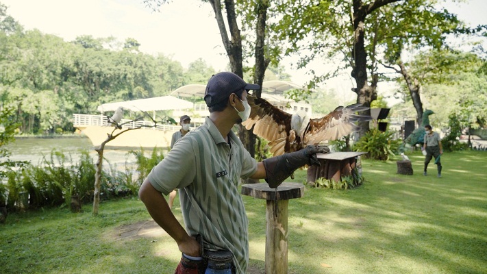 Presentasi Edukasi Aves di Gembira Loka Zoo (gembiralokazoo.com)