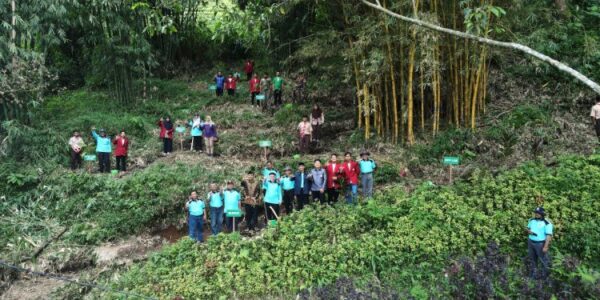 Arboretum Perkebunan Teh Jamus Ngawi