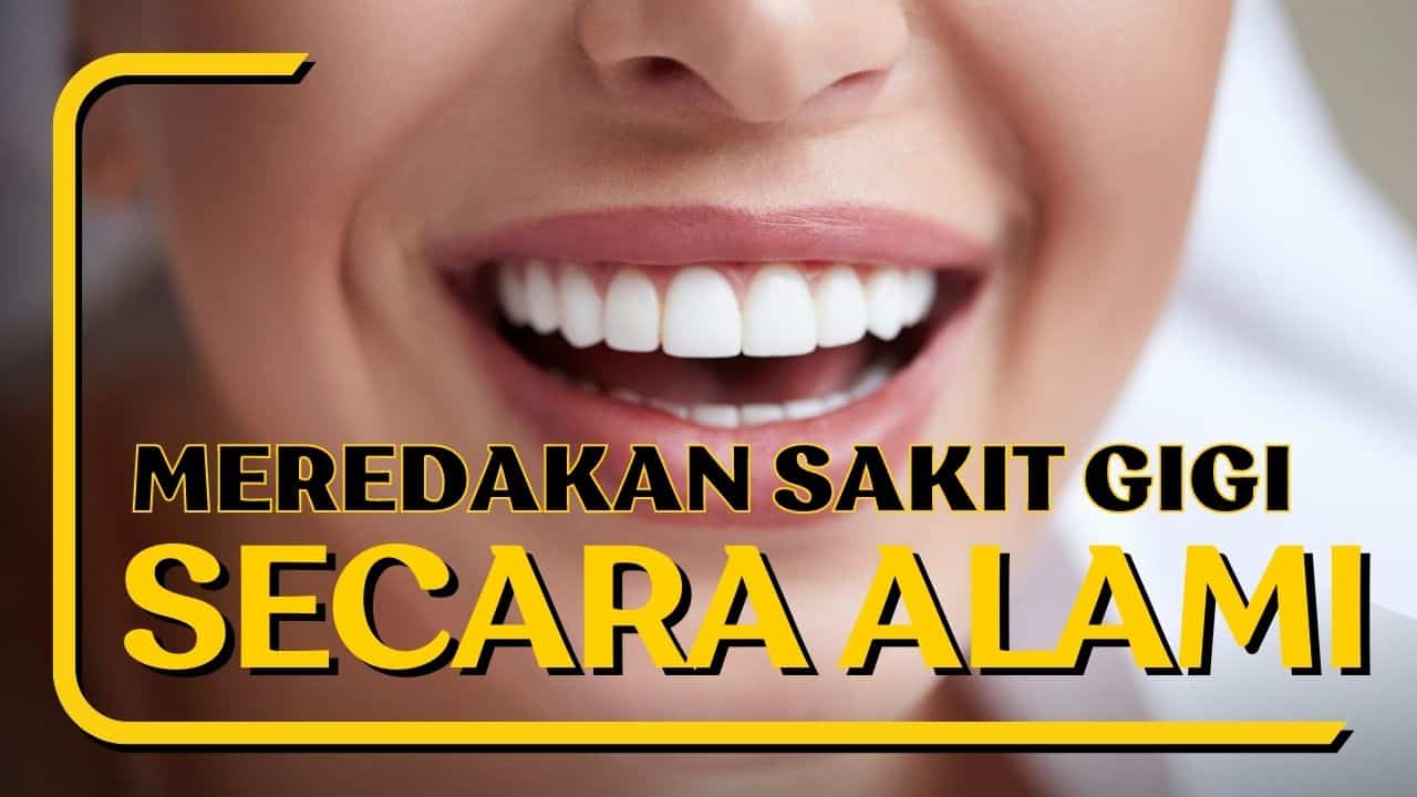 Meredakan Sakit Gigi Secara Alami Resep Obat Tradisional dan Trik
