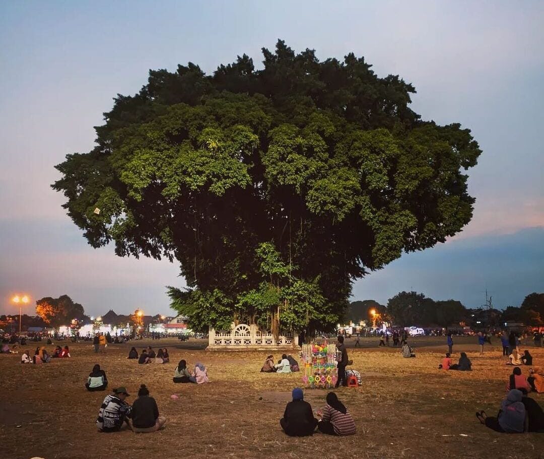 Wisata Jogja, Alun-Alun Kidul (IG: @wisatamalioboro)