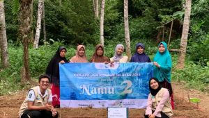 Tanaman Koro Pedang
