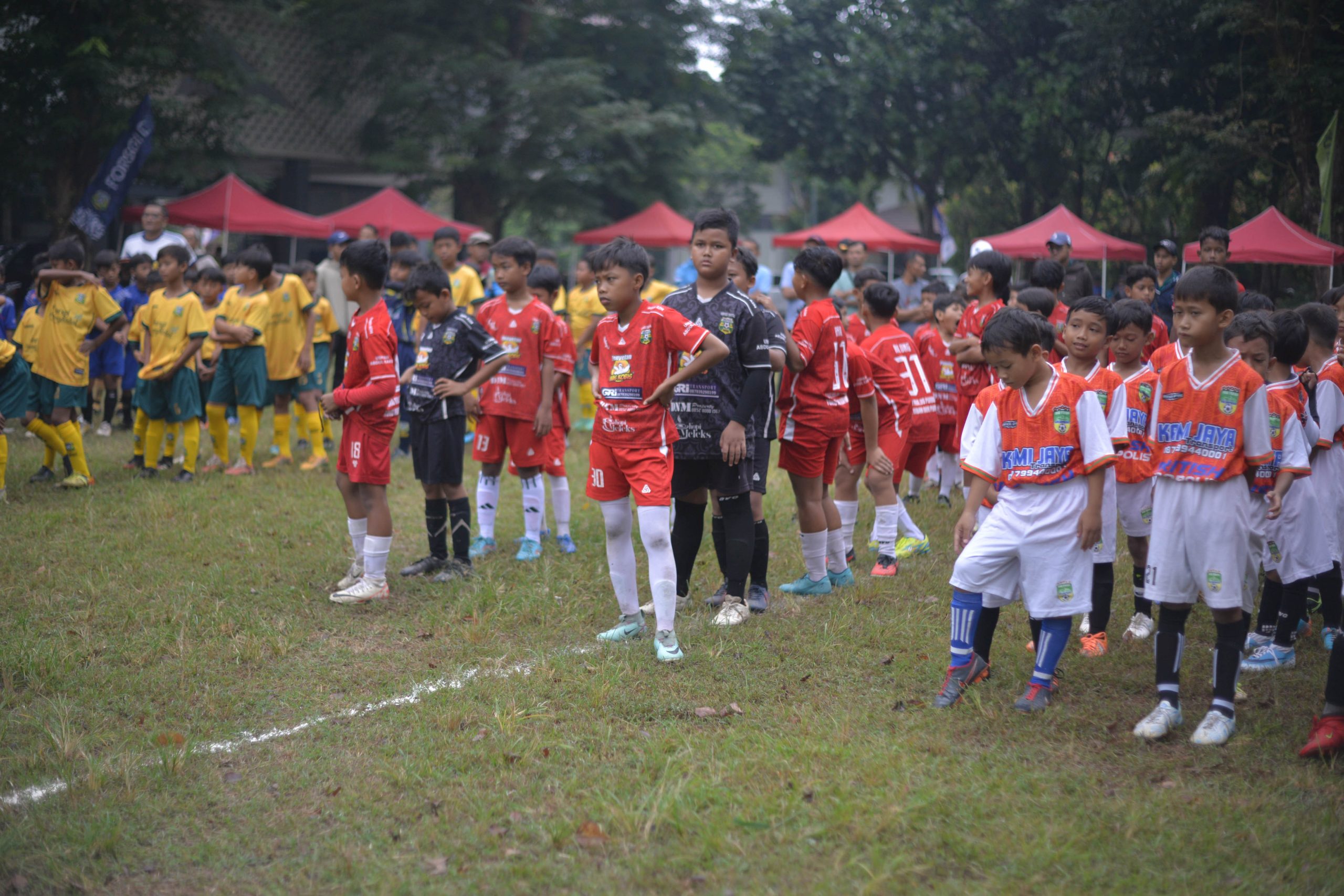 LIga FORSGI DIY
