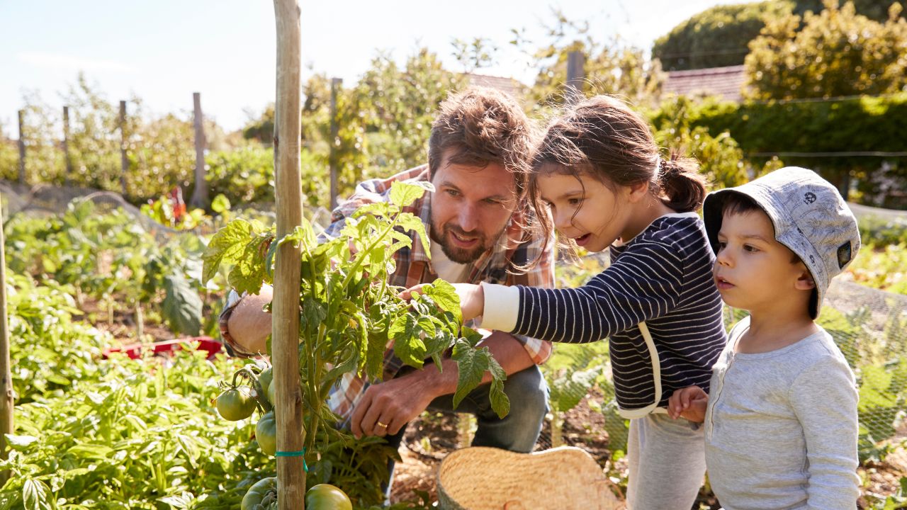 Penggunaan Gadget Anak