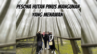Pesona Hutan Pinus Mangunan yang Menawan (IG @endahdwiii_)