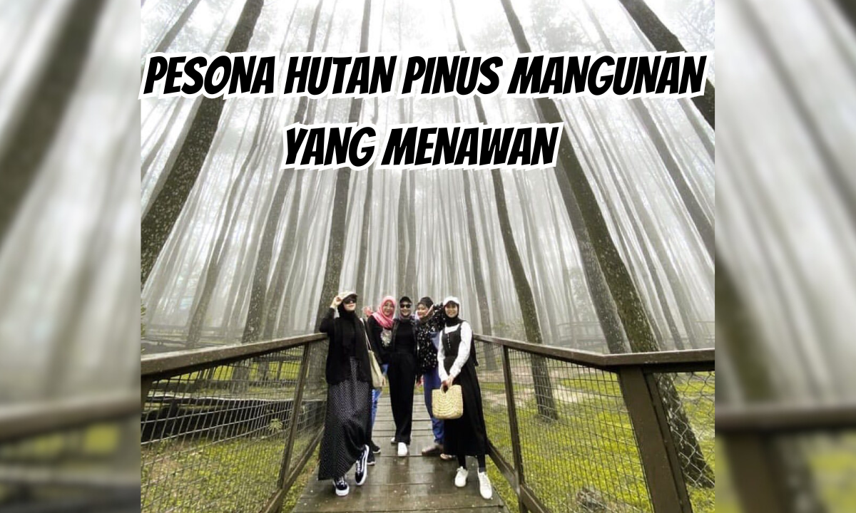Pesona Hutan Pinus Mangunan yang Menawan (IG @endahdwiii_)