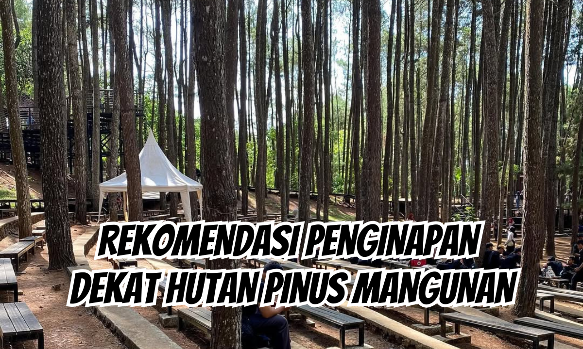 Rekomendasi Penginapan Dekat Hutan Pinus Mangunan (IG @amirasdiaries)