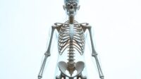 10 Cara Menjaga Kesehatan Tulang Secara Alami dan Efektif
