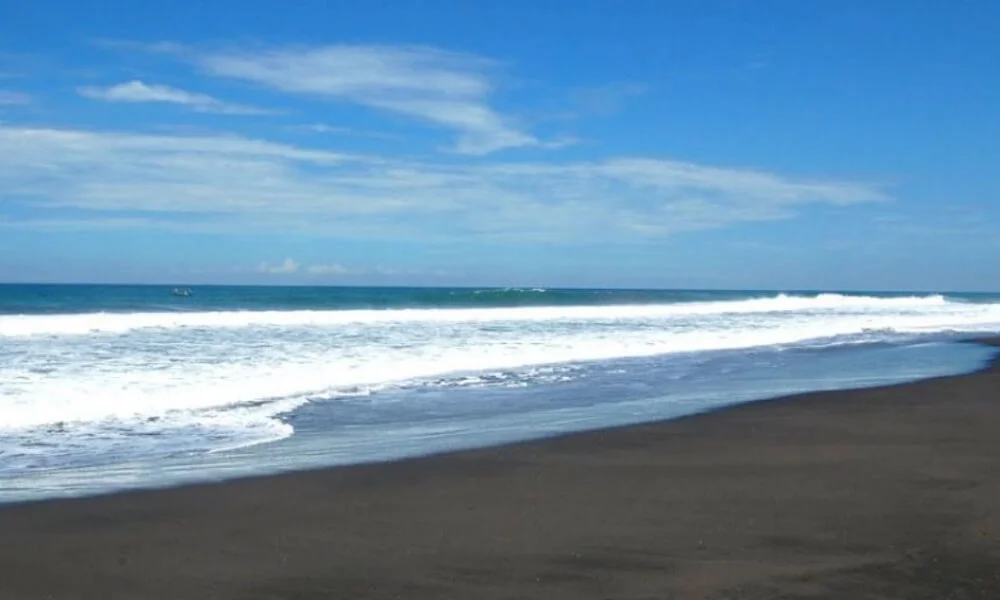 Daya Tarik Keindahan Pantai Trisik di Kulon Progo