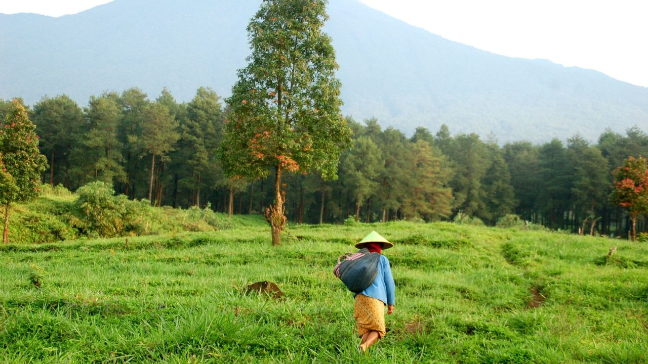 Budaya Gotong Royong Masyarakat Jawa