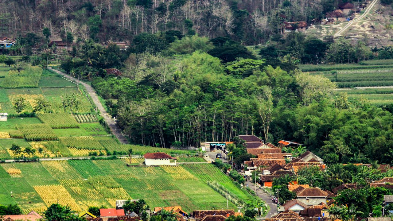 Desa Wisata Instagramable di Jogja
