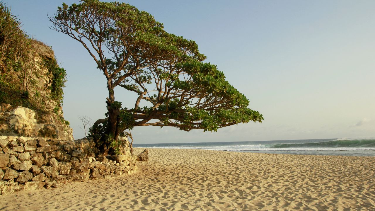 Tempat Camping Seru di Gunungkidul