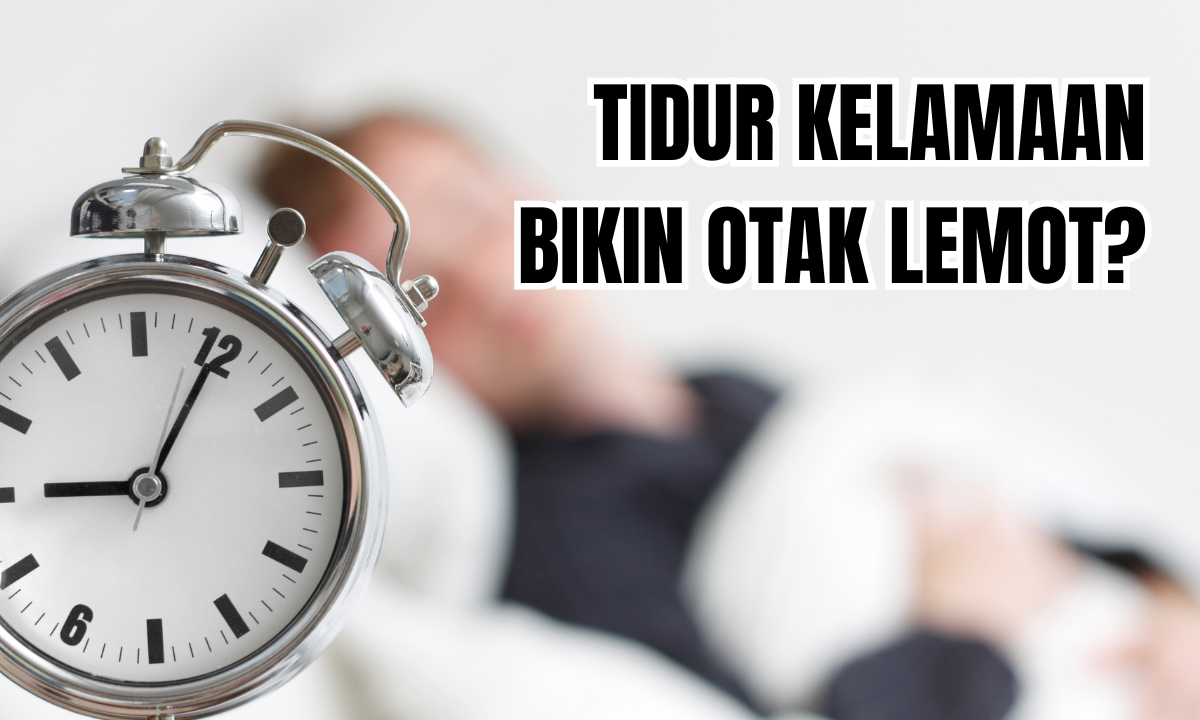 Efek Tidur Kelamaan, Bikin Otak Lemot