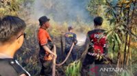 Kalimantan Timur padamkan titik api karhutla