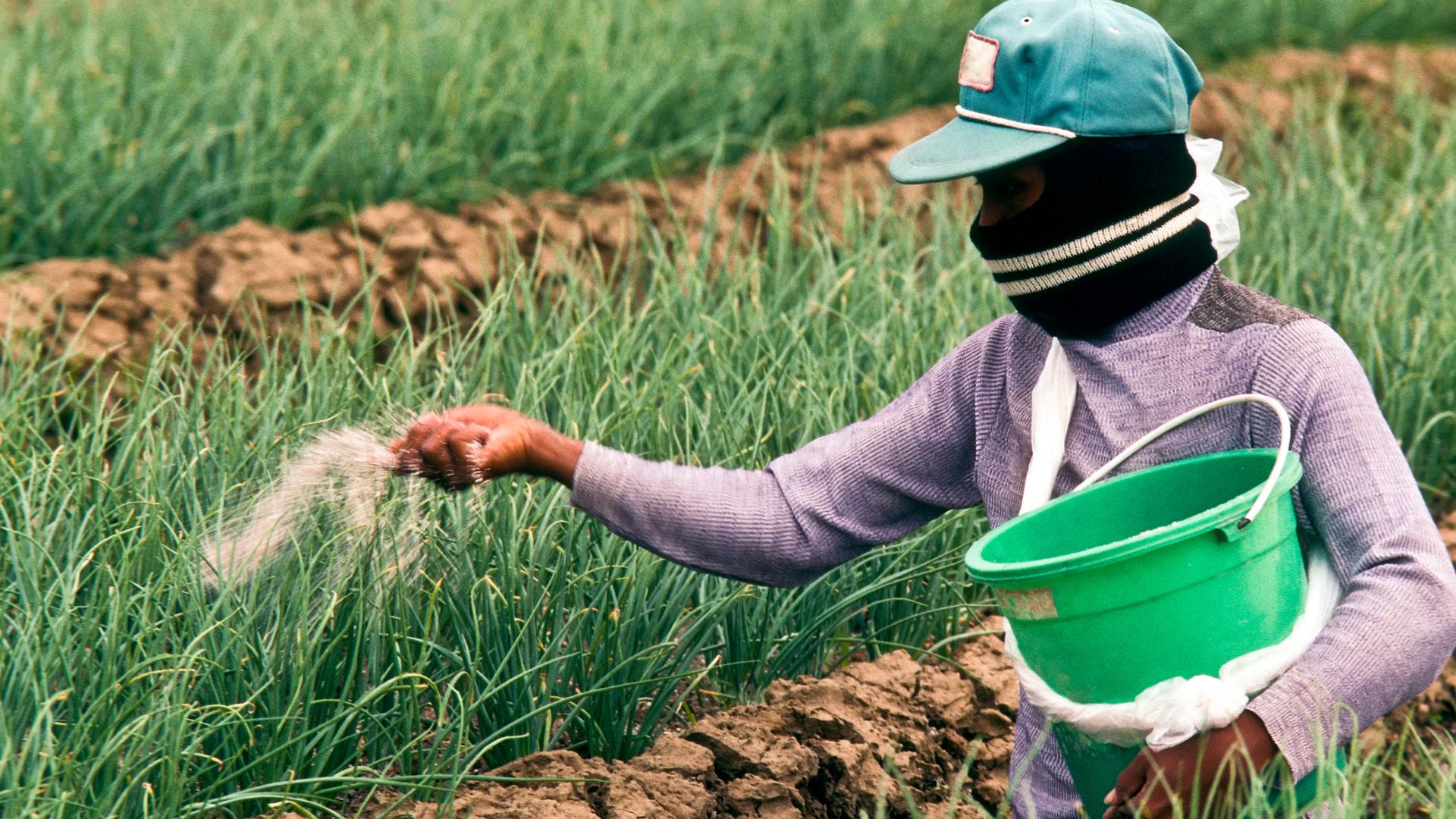 Pengurangan PBB untuk lahan pertanian
