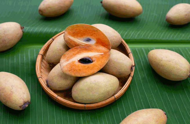 Buah Sawo