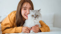 7 Manfaat Pelihara Kucing bagi Kesehatan Untuk Obat Stres Alami yang Menggemaskan