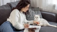 Mengenal Lebih Dekat Karakter Si Penyuka Kucing dengan 7 Fakta Menarik Penuh Pesona