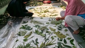 ProKlim Sangurejo Lestari
