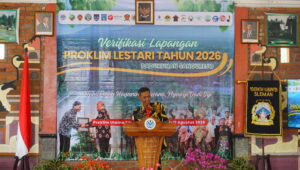 Wabup Sleman